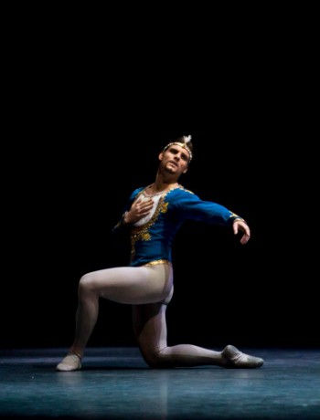 Bayadere - ND (Czech National ballet 2014) Photo - Anna Rasmussen, Choreography Javier Torres (9)