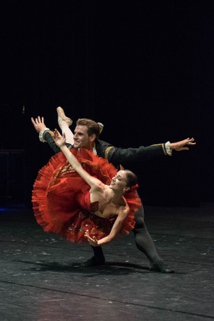 International ballet gala Connexion Schwerin Claudia D'antonio Michal Krcmar (2)