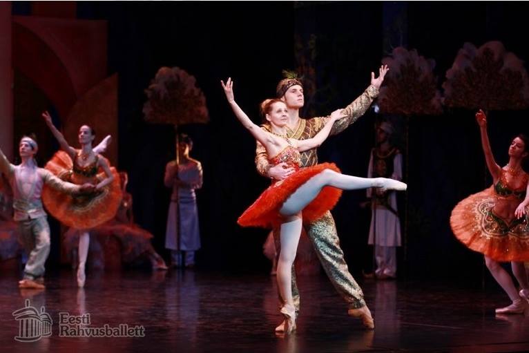 La Bayadere - Estonian National opera 2014, choreography - Thomas Edur,  (3)