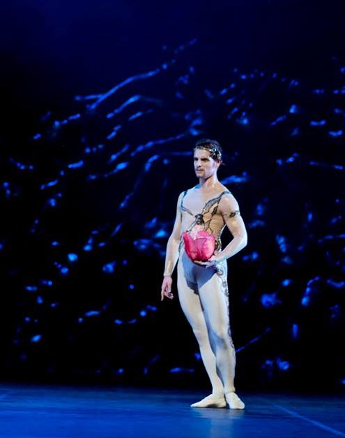 Midsummer Night's Dream, Photo - Sakari Viika, FNB, Michal Krcmar - Oberon (7)